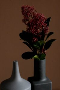 Ceramic Shop